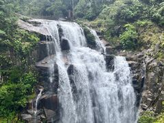 -海南热带雨林国家公园吊罗山景区