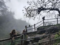 -峨眉山风景名胜区