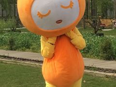 -前小桔亲子创意农场·草莓采摘·露营烧烤