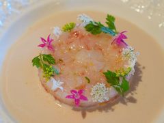 甜虾塔塔｜玫瑰｜蜜果酱｜青柠-恰餐厅CHAR(北京三里屯洲际店)