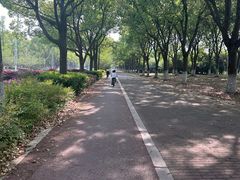 -阳澄湖半岛旅游度假区