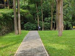-火炉山森林公园