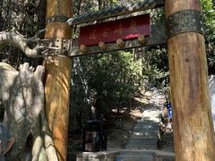 -长沙黑麋峰国家森林公园