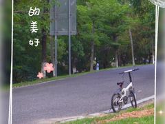 -松山湖南湖湾露营营地