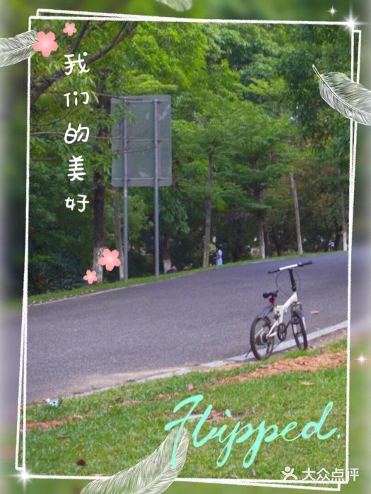 松山湖南湖湾露营营地图片