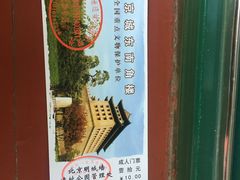 -壹条龙饭庄台基厂店