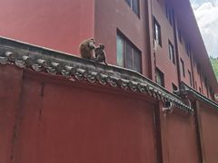 -黔灵山公园