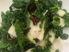 生炝木耳菜-九十九顶毡房(阜石路店)