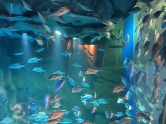 -成都浩海立方海洋公园