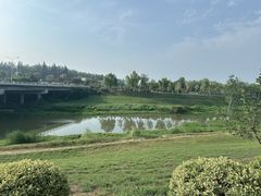 -洨河生态公园