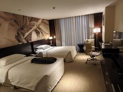 -国家会议中心大酒店