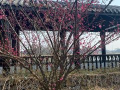 -梁鸿国家湿地公园