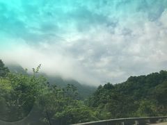 -四明山国家森林公园