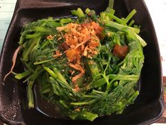 -明潭茶老爸
