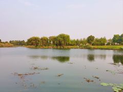 -澹台湖公园