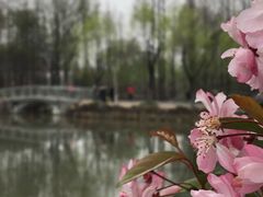-大宁公园