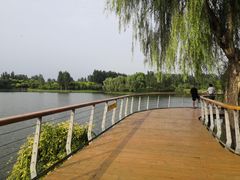 -东郊湿地公园