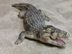 -利奥梦幻主题乐园(爱琴海购物公园店)