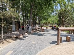 -回龙观体育文化公园