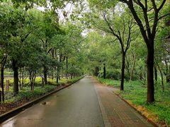 -美兰湖景区