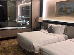 -上海浦东星河湾酒店