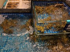 -东海怡品海鲜豆捞(星街坊店)