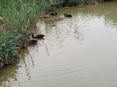 景点-牛岗山公园