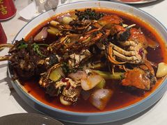 -杨氏青龙虾·羊蝎子(托乐嘉店)