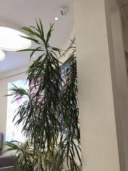 -小阿福儿童摄影(摩尔城店)
