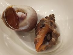 -高佳庄·舟山海鲜(海景旗舰店)