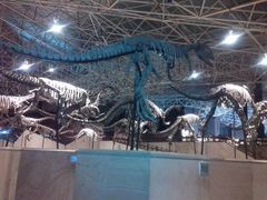 -世界恐龙谷景区