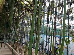 -北戴河集发农业梦想王国