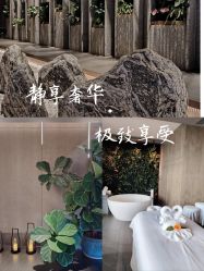 -VELEE·SPA高定疗愈会所
