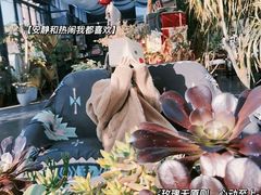 -北马山庄植趣咖啡