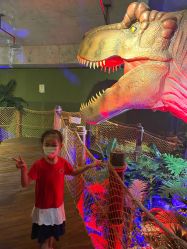 -恐龙探索乐园(磁器口店)