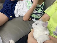 -芭比堂爱心动物医院(柯桥康爱分院)