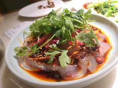 拉皮-佬肥猫(国华广场店)