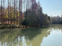 -南通濠河风景名胜区