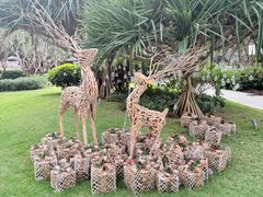 -三亚艾迪逊酒店·海滩烧烤 BARBACOA·现场乐队·浪漫晚餐·烧烤海鲜