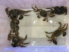 -蟹状元大闸蟹·年货·粽子(成都成华店)