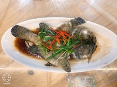 -众味海鲜大排档·活海鲜·潮汕味(南澳店)