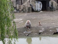 -宁波野生动物园