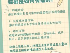 -帕帕拉兹宠物(亚洲旗舰店)