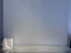 -BLACKSWAN黑天鹅(环球店)