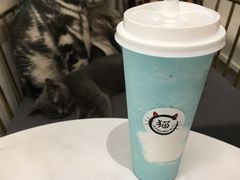 -豆老板的猫咖啡(碑林博物馆店)