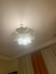 -本真坊美容美体沙龙