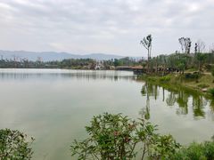 -枫香湖儿童公园