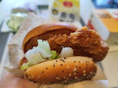 -麦当劳(新新大道岗丰店)