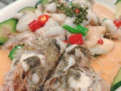 -陶缘一号·四季缘·老字号顺德菜·户外婚礼家宴(西滘店)