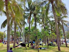 -大梅沙海滨公园